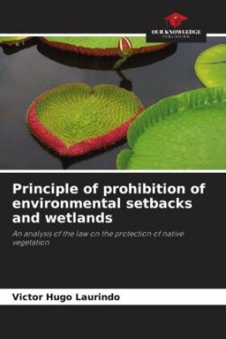 Principle of prohibition of environmental setbacks and wetlands