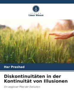 Diskontinuitäten in der Kontinuität von Illusionen