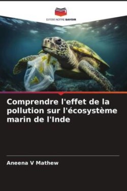 Comprendre l'effet de la pollution sur l'écosystème marin de l'Inde