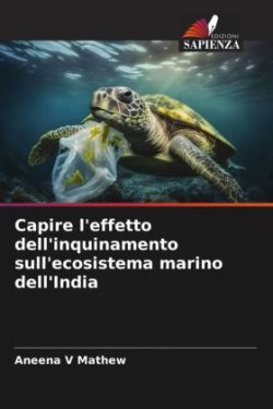 Capire l'effetto dell'inquinamento sull'ecosistema marino dell'India