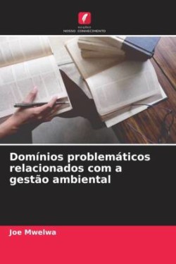 Domínios problemáticos relacionados com a gestão ambiental