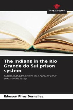 Indians in the Rio Grande do Sul prison system