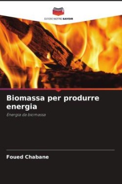 Biomassa per produrre energia