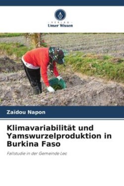 Klimavariabilität und Yamswurzelproduktion in Burkina Faso