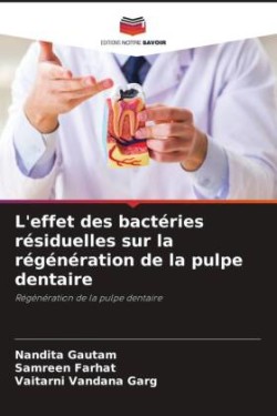 L'effet des bactéries résiduelles sur la régénération de la pulpe dentaire