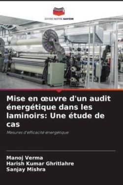 Mise en oeuvre d'un audit énergétique dans les laminoirs