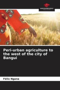 Peri-urban agriculture to the west of the city of Bangui