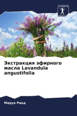 Экстракция эфирного масла Lavandula angustifolia