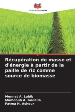 Récupération de masse et d'énergie à partir de la paille de riz comme source de biomasse