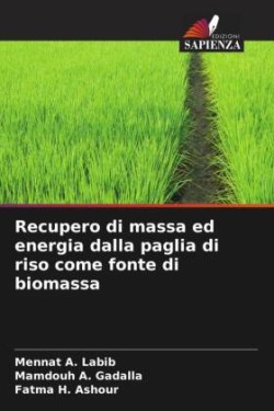 Recupero di massa ed energia dalla paglia di riso come fonte di biomassa