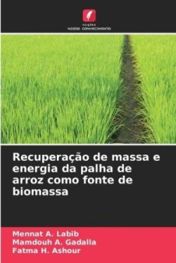 Recuperação de massa e energia da palha de arroz como fonte de biomassa