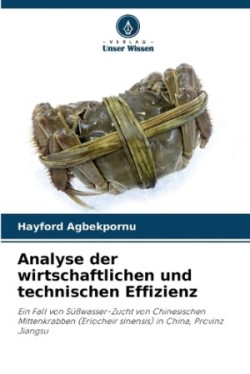 Analyse der wirtschaftlichen und technischen Effizienz