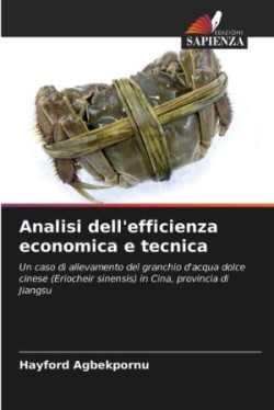 Analisi dell'efficienza economica e tecnica