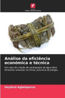 Análise da eficiência económica e técnica