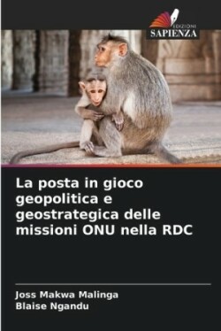 posta in gioco geopolitica e geostrategica delle missioni ONU nella RDC