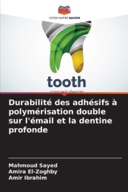 Durabilité des adhésifs à polymérisation double sur l'émail et la dentine profonde