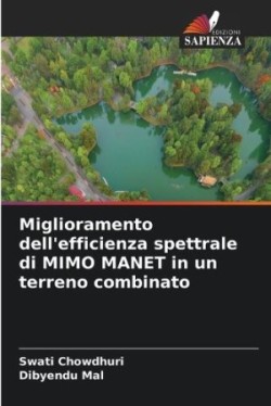 Miglioramento dell'efficienza spettrale di MIMO MANET in un terreno combinato