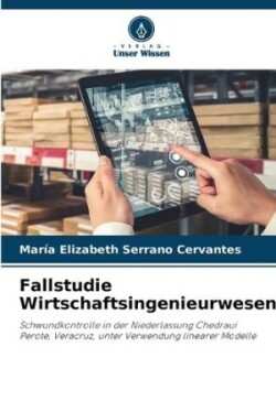 Fallstudie Wirtschaftsingenieurwesen