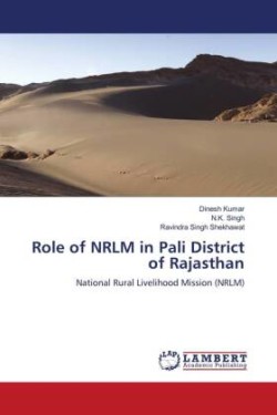 Role of NRLM in Pali District of Rajasthan