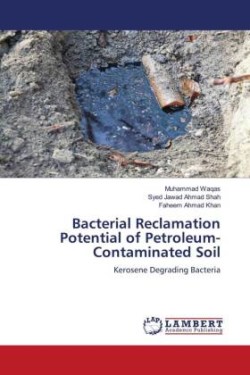 Bacterial Reclamation Potential of Petroleum-Contaminated Soil