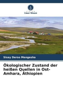 Ökologischer Zustand der heißen Quellen in Ost-Amhara, Äthiopien