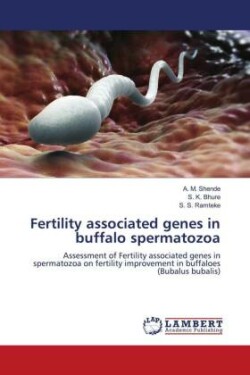 Fertility associated genes in buffalo spermatozoa