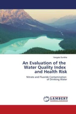 Evaluation of the Water Quality Index and Health Risk
