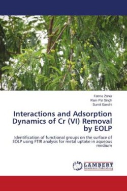 Interactions and Adsorption Dynamics of Cr (VI) Removal by EOLP