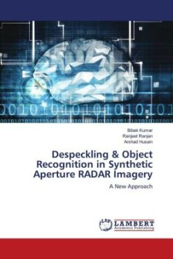 Despeckling & Object Recognition in Synthetic Aperture RADAR Imagery