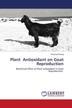 Plant Antioxidant on Goat Reproduction