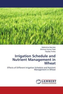 Irrigation Schedule and Nutrient Management in Wheat