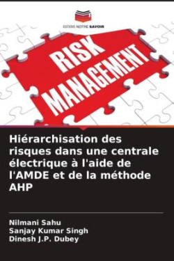 Hiérarchisation des risques dans une centrale électrique à l'aide de l'AMDE et de la méthode AHP