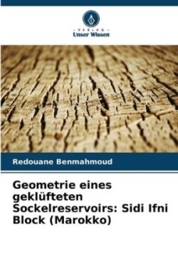 Geometrie eines geklüfteten Sockelreservoirs