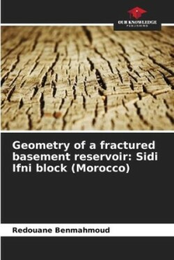 Geometry of a fractured basement reservoir