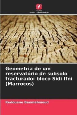 Geometria de um reservatório de subsolo fracturado