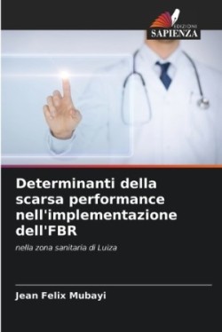 Determinanti della scarsa performance nell'implementazione dell'FBR