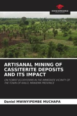 Artisanal Mining of Cassiterite Deposits and Its Impact