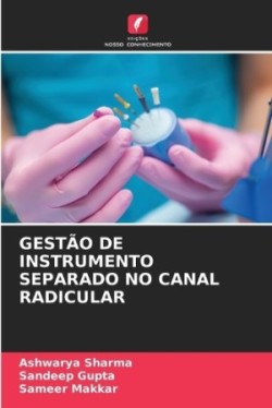 Gestão de Instrumento Separado No Canal Radicular