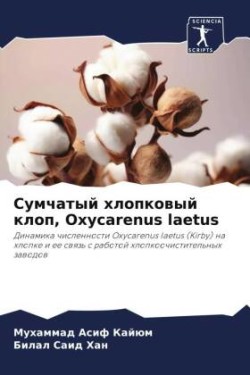 Sumchatyj hlopkowyj klop, Oxycarenus laetus