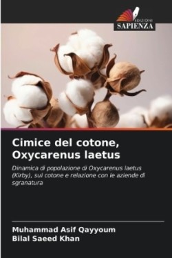 Cimice del cotone, Oxycarenus laetus