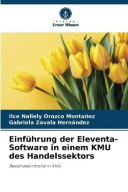 Einführung der Eleventa-Software in einem KMU des Handelssektors