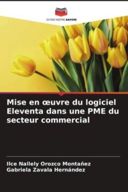 Mise en oeuvre du logiciel Eleventa dans une PME du secteur commercial