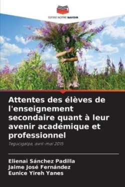 Attentes des élèves de l'enseignement secondaire quant à leur avenir académique et professionnel