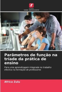 Parâmetros de função na tríade da prática de ensino