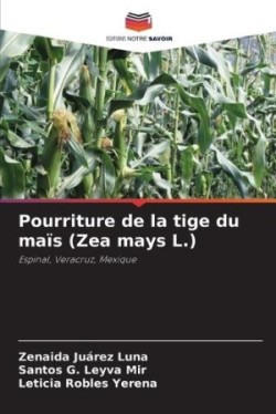 Pourriture de la tige du maïs (Zea mays L.)