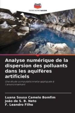 Analyse numérique de la dispersion des polluants dans les aquifères artificiels