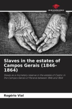 Slaves in the estates of Campos Gerais (1846-1864)
