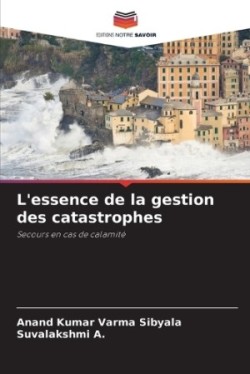 L'essence de la gestion des catastrophes