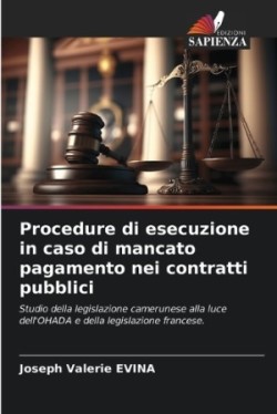 Procedure di esecuzione in caso di mancato pagamento nei contratti pubblici