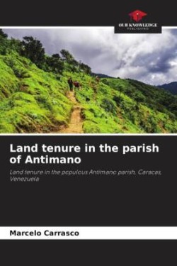 Land tenure in the parish of Antimano